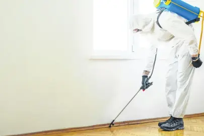 Vatandaş uyandı belge istiyor