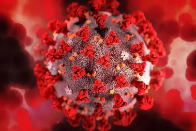 Ağızdaki bakteriler kilo artışını etkiliyor