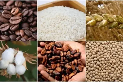 Emtia fiyatlarını jeopolitik riskler belirledi