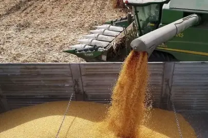 TMO yem sektörü için ilave stokları açıkladı