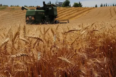 Türkiye’nin en büyük buğday tedarikçisi Rusya oldu