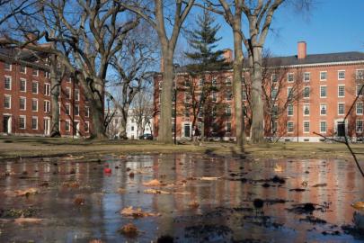 ABD'de federal hükümet, öğrenci kabul süreçlerindeki verileri paylaşmadığı gerekçesiyle Harvard'a dava açtı