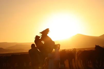 Atlar aynı anda hem kişneyip hem ıslık çalıyor