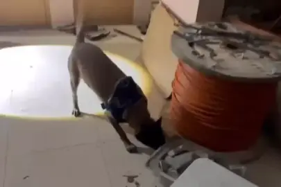 Avcılar'da uyuşturucu operasyonu: 50 kilo 809 gram metamfetamin ele geçirildi