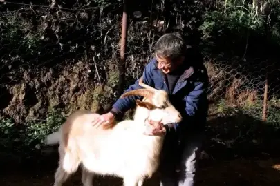 Bakan Kurum Ödemişli Cavit Amca’nın yeni heyecanını paylaştı: Ben rüyamda görsem inanmazdım