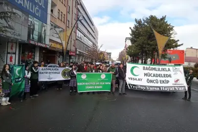 Bingöl'de "Dünya Sigarayı Bırakma Günü" kapsamında yürüyüş düzenlendi