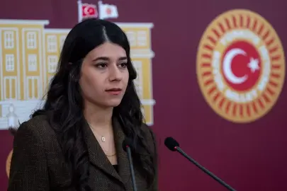 DEM Parti milletvekilleri Meclis'te basın toplantısı düzenledi