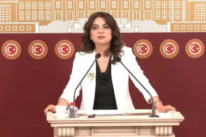 DEM Parti'li Koçyiğit: Türkiye'nin geleceği için rapor önemli bir eşik olacak
