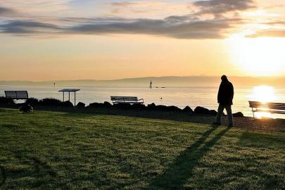 En yalnız meslekler belli oldu: 14 saati yalnız geçiriyorlar