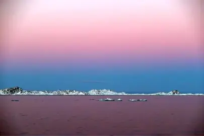 Grönland Başbakanı: Trump'ın Grönland'a Hastane Gemisi Göndermesini İstemiyoruz