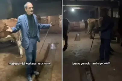 Hayvanlarına yem alamayan vatandaşın isyanı: Yemin ederim içim yanıyor