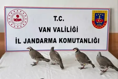 Kınalı keklik avına 85 bin TL ceza