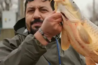 Meriç Nehri’nin taşmasıyla bir vatandaş tarlasında canlı sazan balığı yakaladı