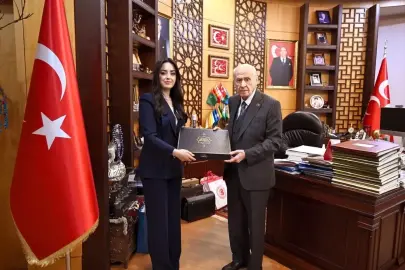 "Eserlerle Devlet Bahçeli" kitabı yayımlandı