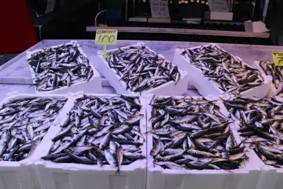 Rize'de istavritin kilogramı 100 liradan satışa sunuldu