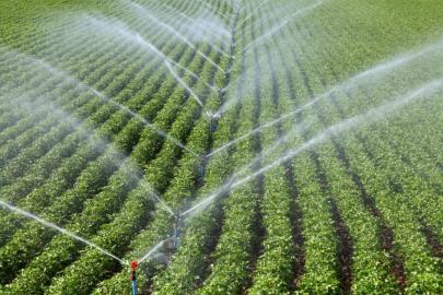 Tarımsal destek bütçesi geçen yıl 158,55 milyar liraya yükseldi