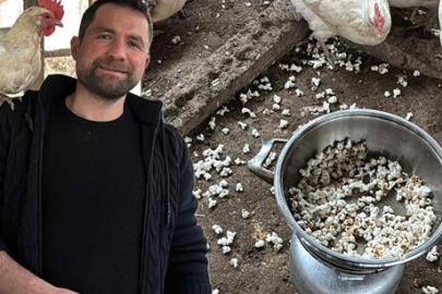 Tavuklar strese girdi, çözümü şaşkına çevirdi! ‘Onlar için de değişik bir etkinlik oldu’