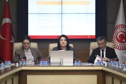 TBMM Dilekçe ile İnsan Haklarını İnceleme Karma Komisyonu toplandı