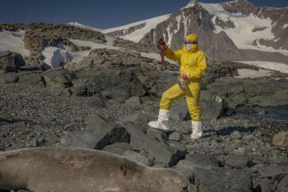 Türk bilim insanları Antarktika'daki araştırmalarıyla sağlık ve tarıma ışık tutuyor