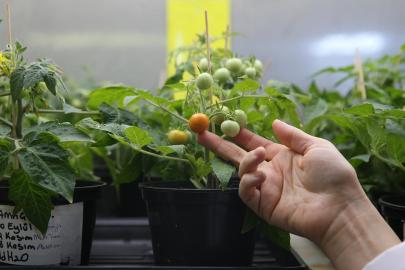 Uzay tarımı için Türkiye'den önemli adım