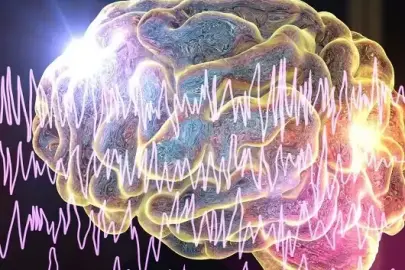 Yanlış bilgiler, epilepsi ile yaşayan bireylerin günlük yaşamda zorlanmasına neden olabilir