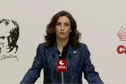 CHP'li Rızvanoğlu: Ormanlar bir kalem darbesiyle yok edilemez