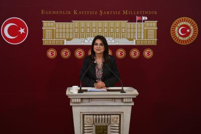 DEM Parti Grup Başkanvekili Koçyiğit, gündemi değerlendirdi Açıklaması