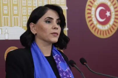 DEM Parti milletvekilleri Meclis'te basın toplantısı düzenledi