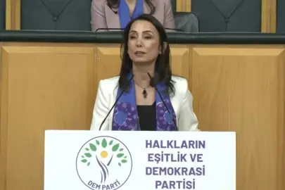 DEM Parti'li Hatimoğulları: AİHM ve AYM kararları uygulanmalı
