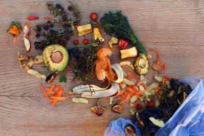 Milyonlarca kişi açlıkla mücadele ederken gıdaların üçte biri çöpe gidiyor