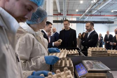 Rapor: Çinli Şirketler, Mevzuattaki Engellere Rağmen AB'de Yatırımlarını Artıracak