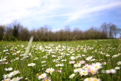 Son cemre toprakla buluştu