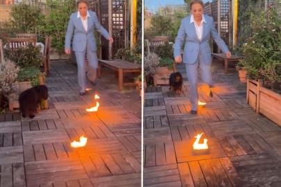 Sürgündeki Kraliçe Farah Pehlevi'den dikkat çeken Nevruz paylaşımı