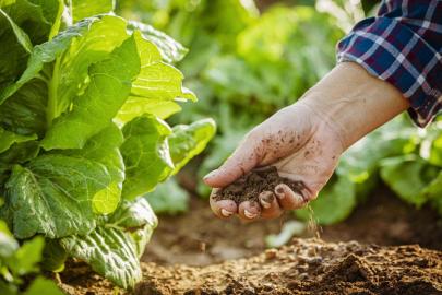 Tarım sezonu yağışlarında rekor artış