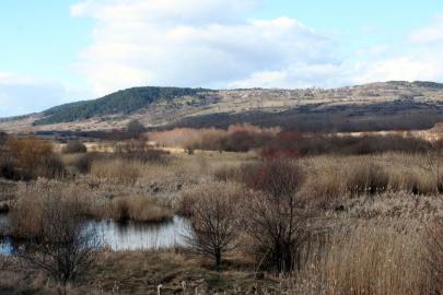 Tarımsal drenaj turbalıkları karbon fabrikasına çeviriyor
