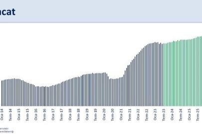 Bakan Şimşek: Ülkemizin şoklara karşı direnci önemli ölçüde artmıştır