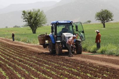 Çiftçilere tarımsal destekleme ödemesi bugün yapılacak