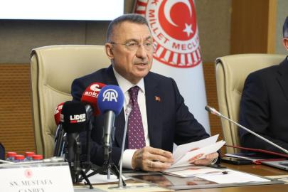 Dışişleri Komisyon Başkanı Oktay: TBMM Genel Kurulu'nda bekleyen 113 teklif kanunlaşmazsa 'kadük' olacak