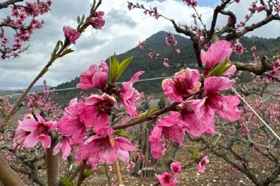 Dünya kayıtlardaki en sıcak dördüncü mart ayını yaşadı