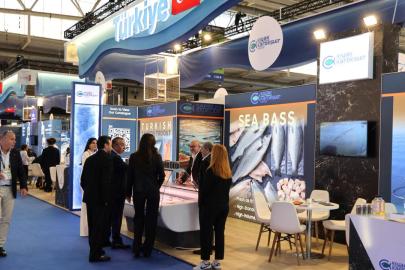 İhracatın yükselen yıldızı: Türk su ürünleri