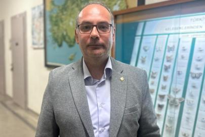 İstanbul'daki çam kese tırtılları alerjik reaksiyonlara neden olabiliyor