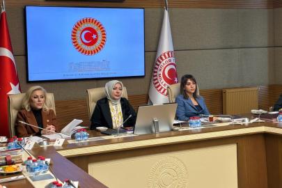 Kamu Denetçisi Benli: Cinayete maruz kalan kadınların yüzde 88'inin koruma kararı yok