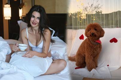 Nesrin Cavadzade’den köpeği Dolce'ye doğum günü partisi