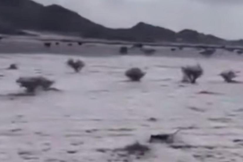 Suudi Arabistanda çöller dolu yağışıyla beyaza büründü