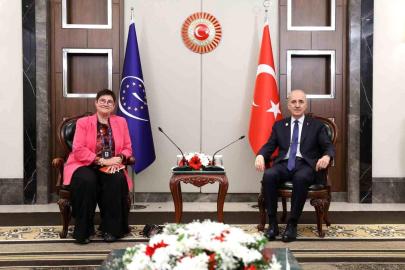 TBMM Başkanı Kurtulmuş, Avrupa Konseyi Parlamenter Meclisi Başkanı Bayr ile bir araya