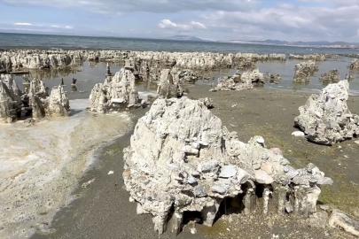 Van Gölü'ndeki mikrobiyalitler için "Guinness Rekorlar Kitabı" süreci başlatıldı