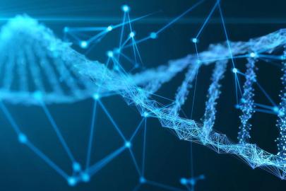 180 yıldır kayıp olan denizcilerin kimlikleri DNA ile belirlendi