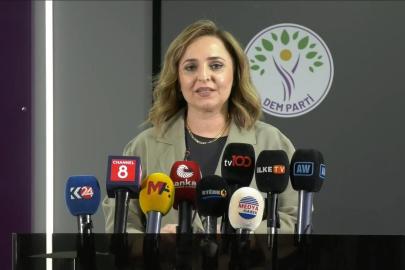 DEM Parti'li Doğan'dan 'Terörsüz Türkiye' süreci açıklaması