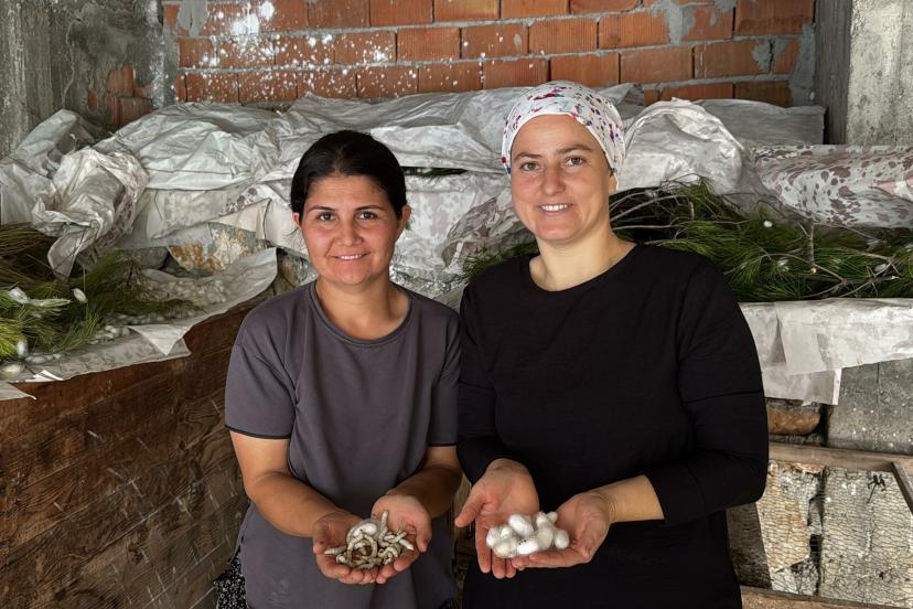 İpek böcekçiliği yaparak aile bütçelerine katkı sağlıyorlar