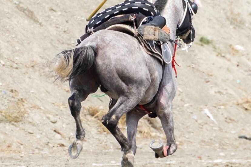 Erzincan’da Atlı Cirit Türkiye Şampiyonası ön eleme müsabakaları tamamlandı